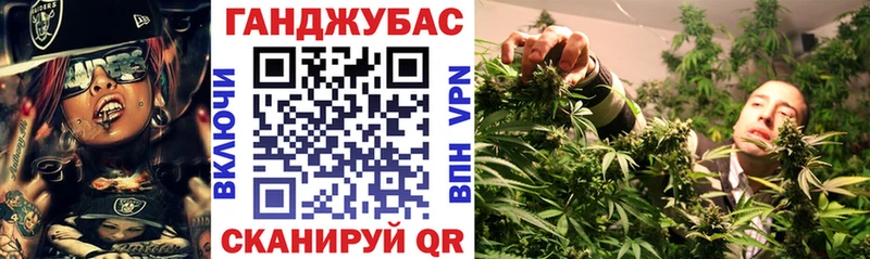 darknet Telegram Суздаль МАРИХУАНА индика гидра как зайти